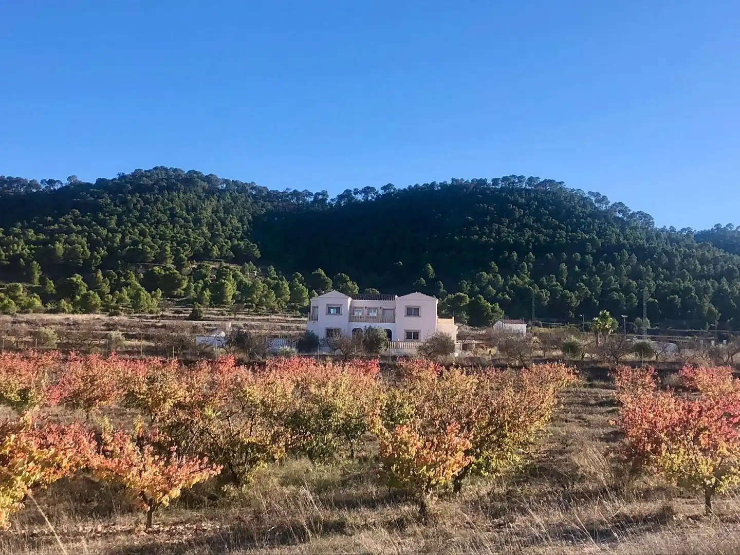 Xalet en venda a El Pinós / Pinoso, imagen 3
