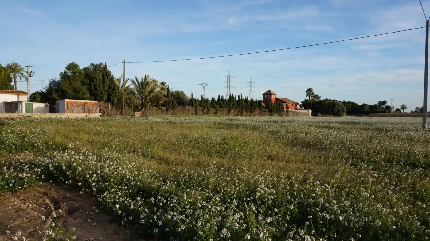 Residencial en venta en Elche / Elx