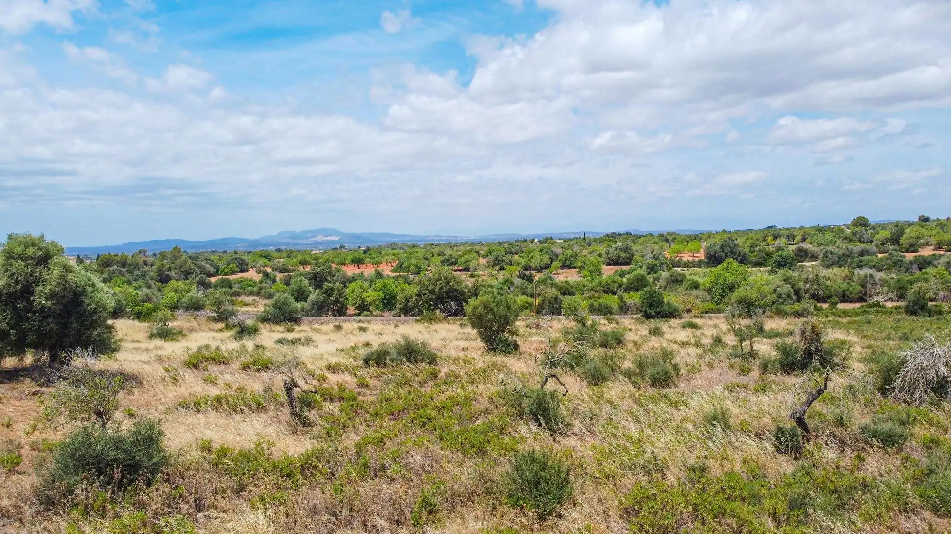 Lands and plots for sale in Felanitx Poble, imagen 12