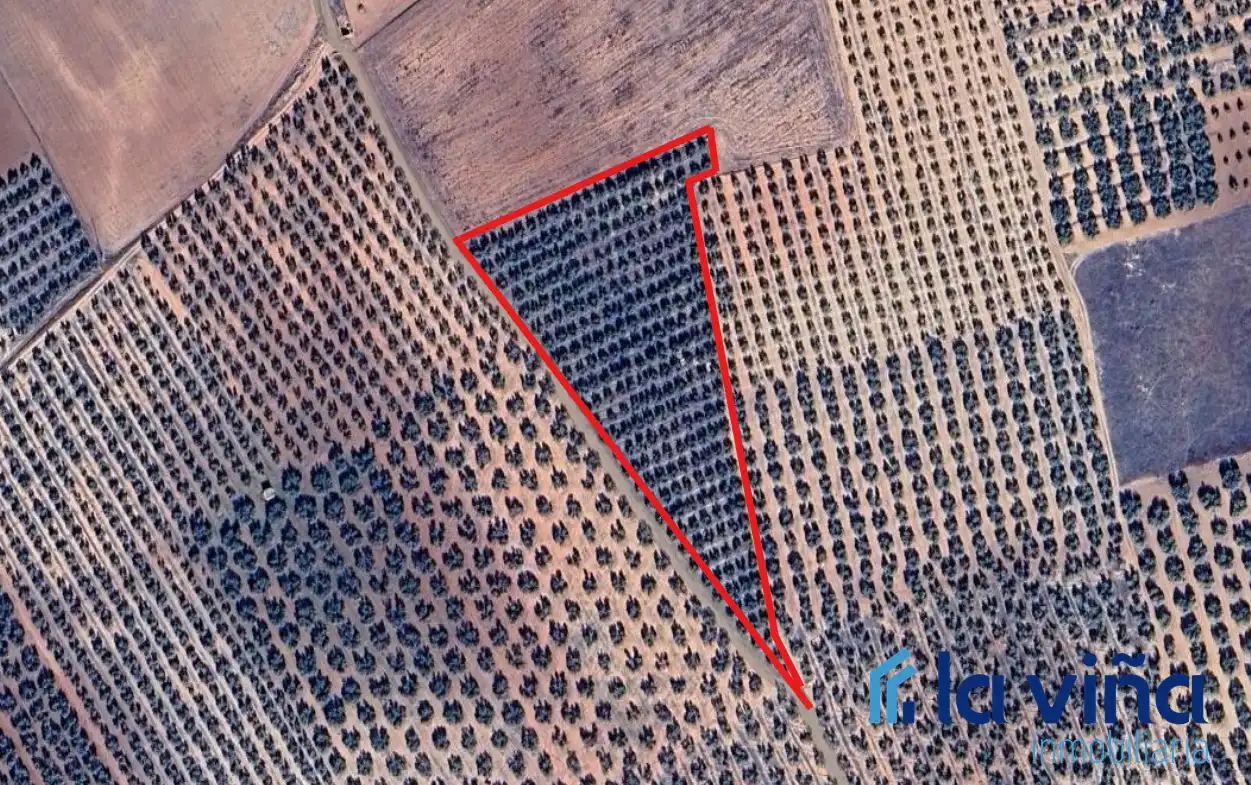 Terreno rustico in vendita a Fuente de Piedra, imagen 2