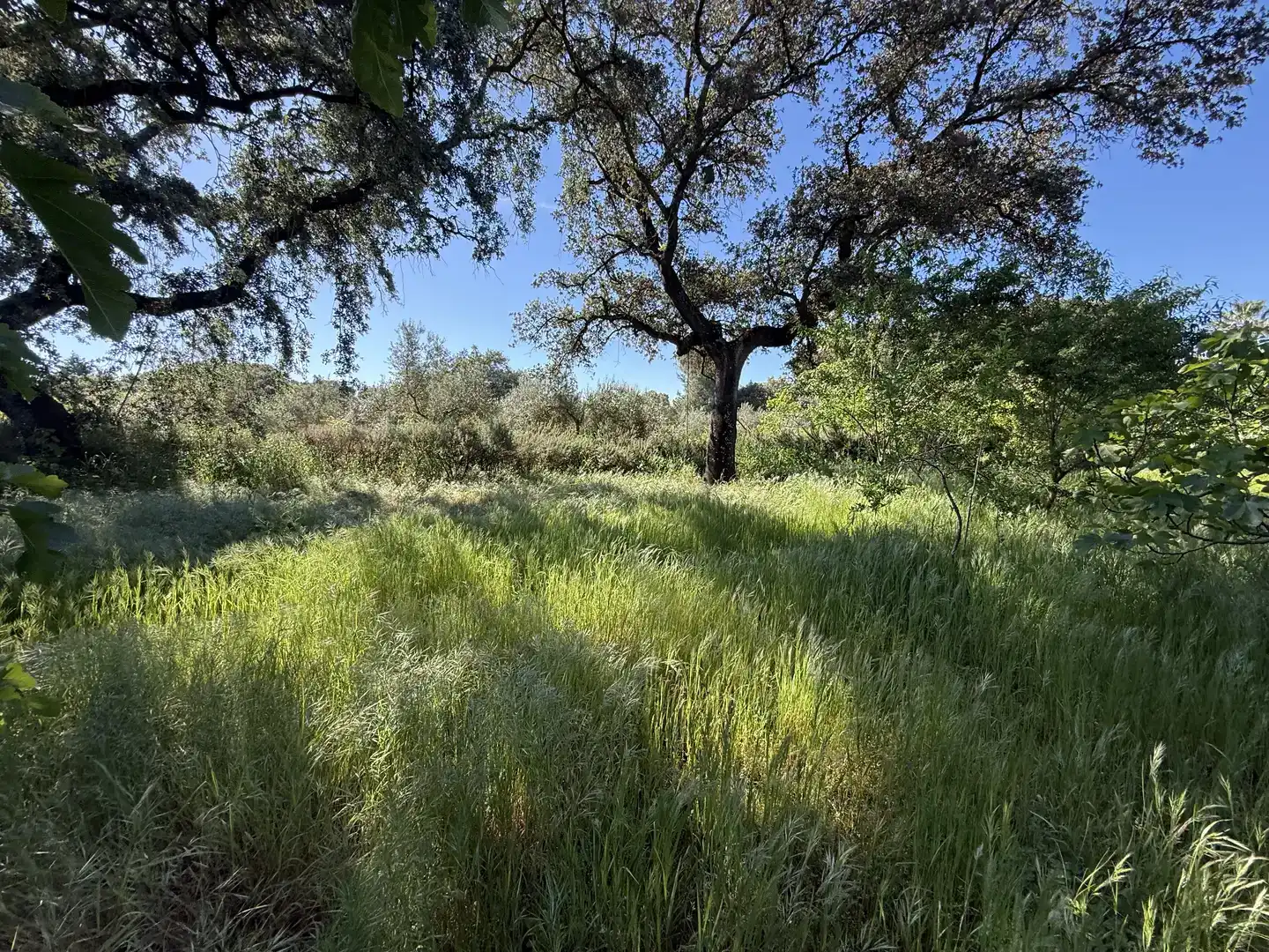 Piso en venta en Badajoz con Aire acondicionado, Jardín privado y Piscina