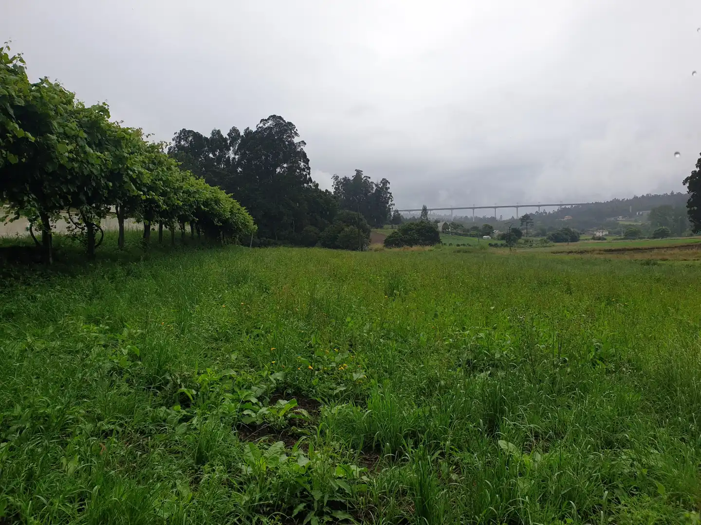 Houses for sale in Boqueixón  with Private garden, Storage room and Balcony