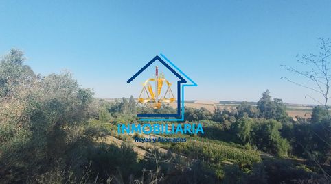 Foto 5 de Casa o chalet en venta en Posadas, Córdoba