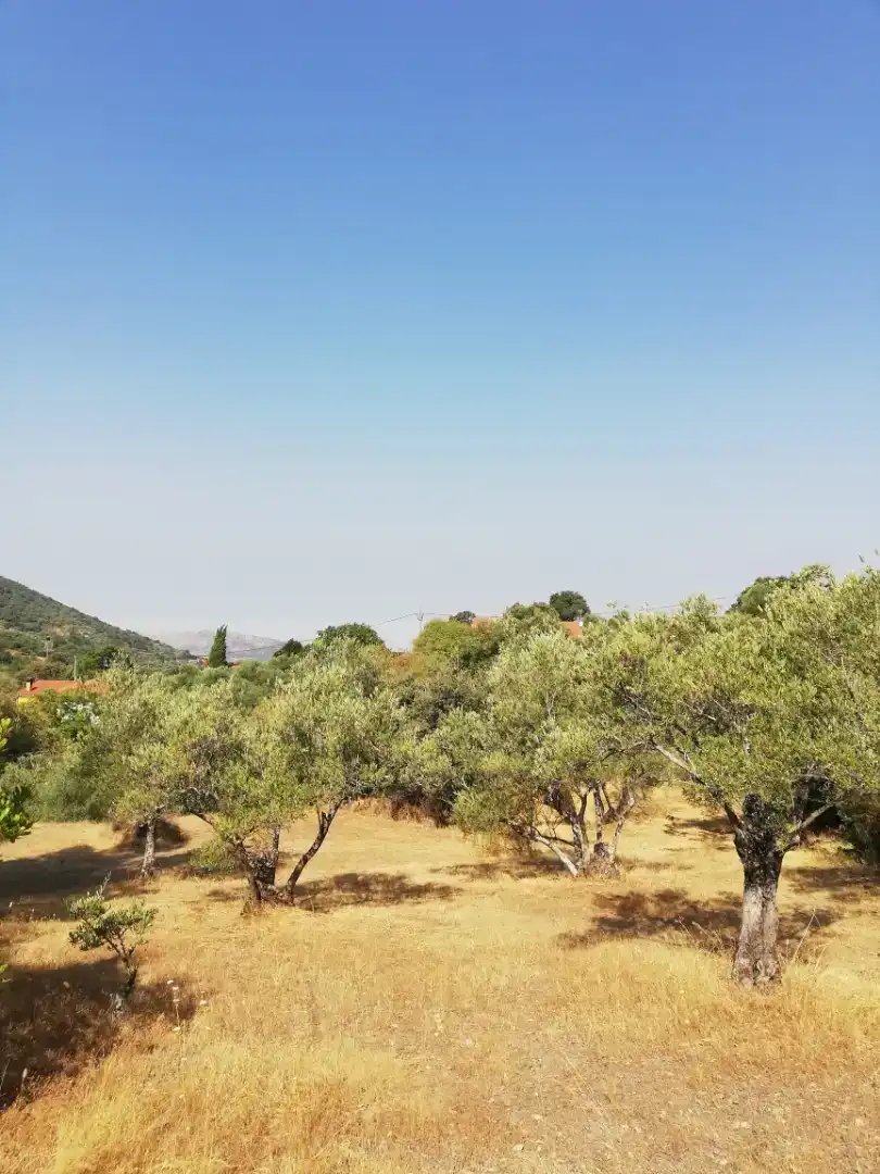 Finca rústica en venda en Plasencia amb Jardí privat, Traster i Piscina