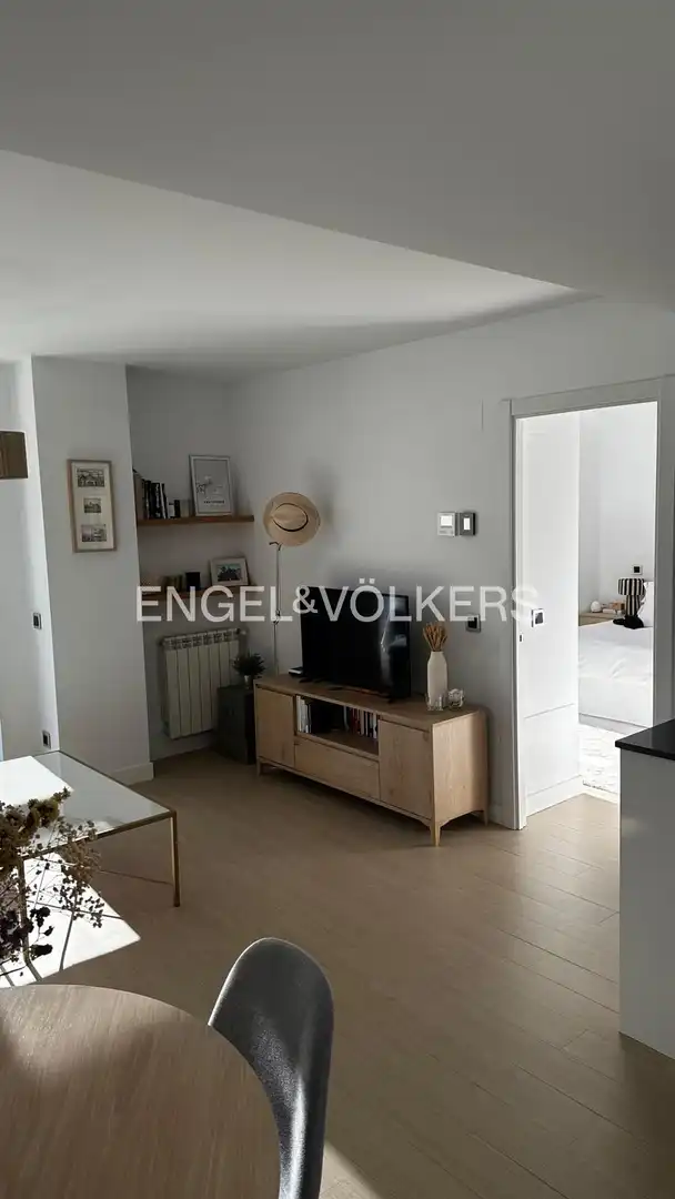 Sala de estar de Piso de alquiler en Madrid con Aire acondicionado, Calefacción y Jardín privado