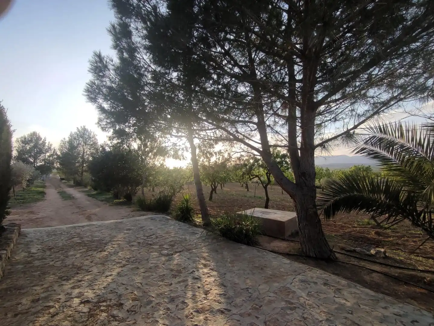 Villa con giardino in vendita a El Pinós / Pinoso, imagen 42