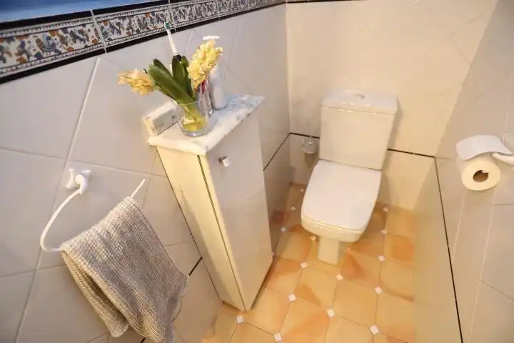 Baño de Casa o chalet en venta en Bilbao  con Terraza y Balcón