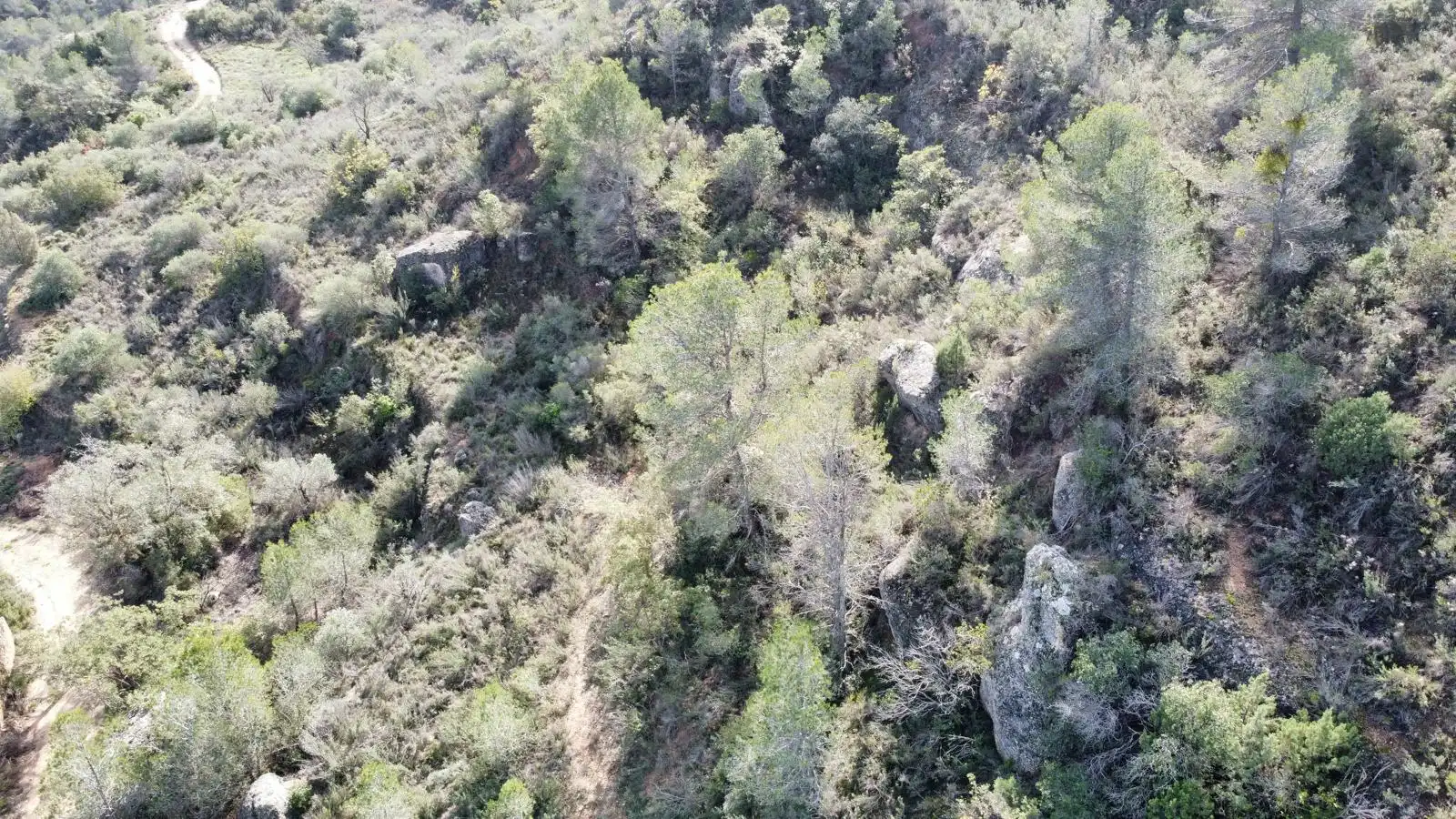 Terreno rustico in vendita a Cervià de Les Garrigues, imagen 31