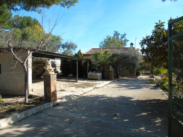 Finca rústica en Venta en Calle Sector Zep, 194 en El Pino