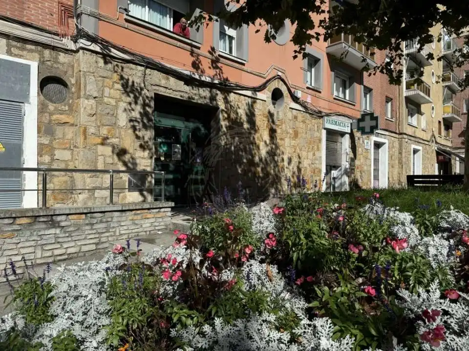 Business premises for sale in Langilearen Kalea, imagen 15