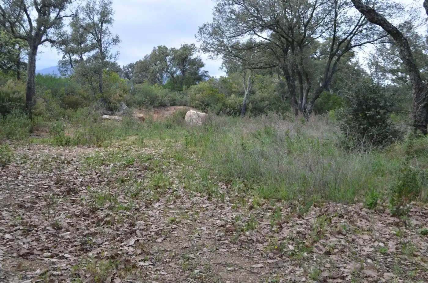 Wohnbaugrundstück zum Verkauf in Sant Celoni