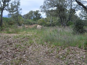 Terrain résidentiel à vendre à Sant Celoni