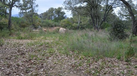 TERRENO EN BOSCOS DEL MONTNEGRE