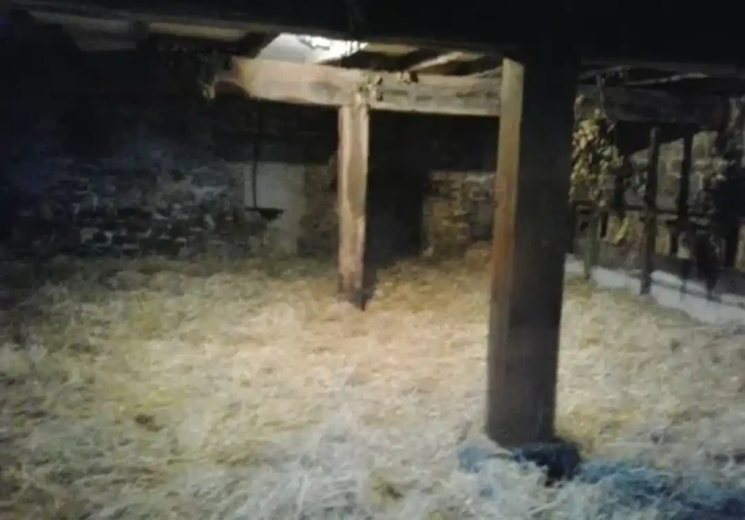 Terreno rustico in vendita a Corvera de Toranzo, imagen 5