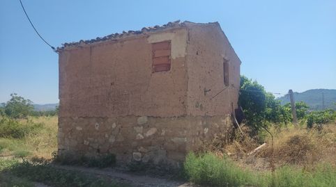Maset amb llum i aigua a L’illa d’Ascó, immagine 3