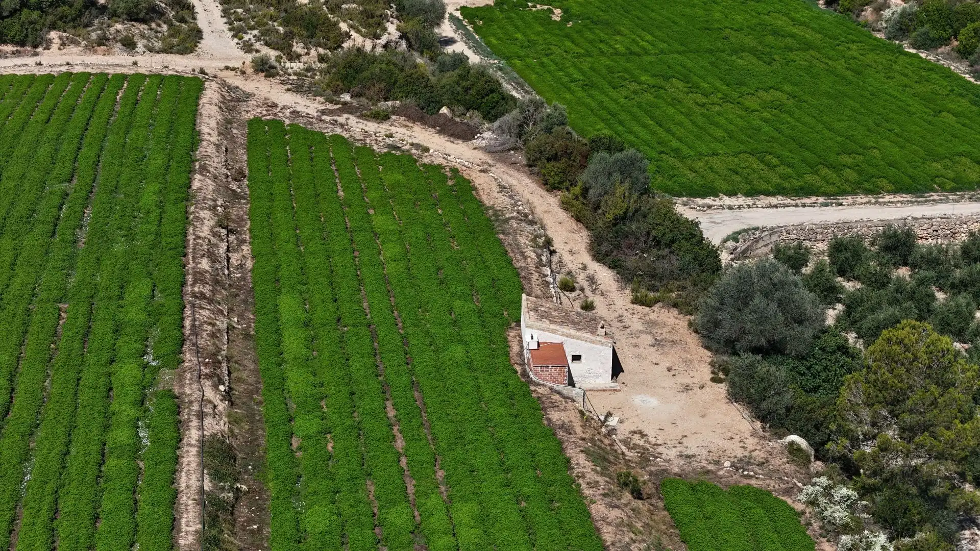 Terreno en venta en Tortosa