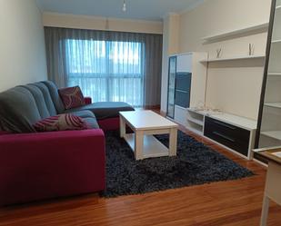 Sala d'estar de Apartament de lloguer en Ourense Capital 