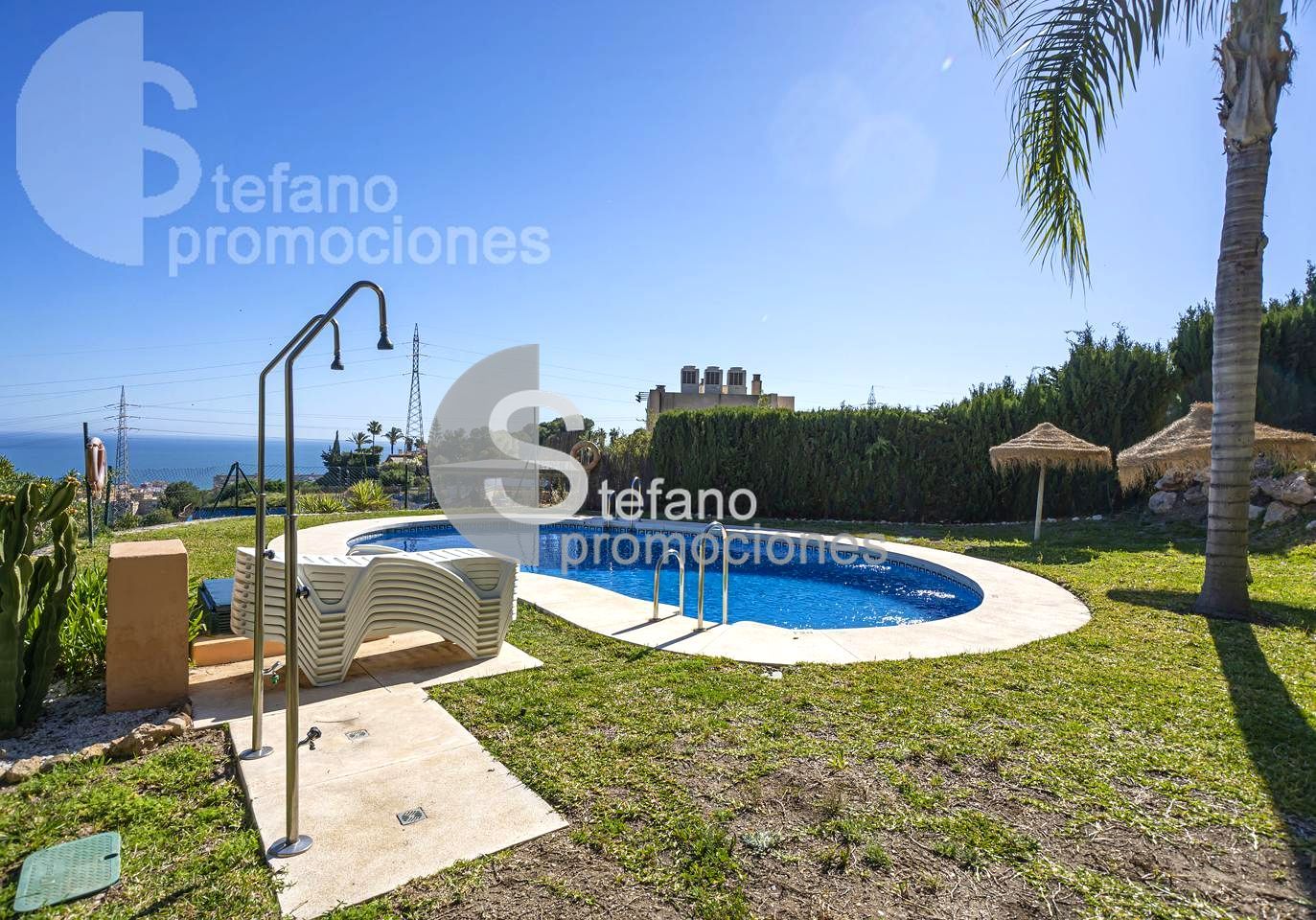 Swimming pool of Single-family semi-detached for sale in Málaga Capital  with Air Conditioner, Private garden and Terrace