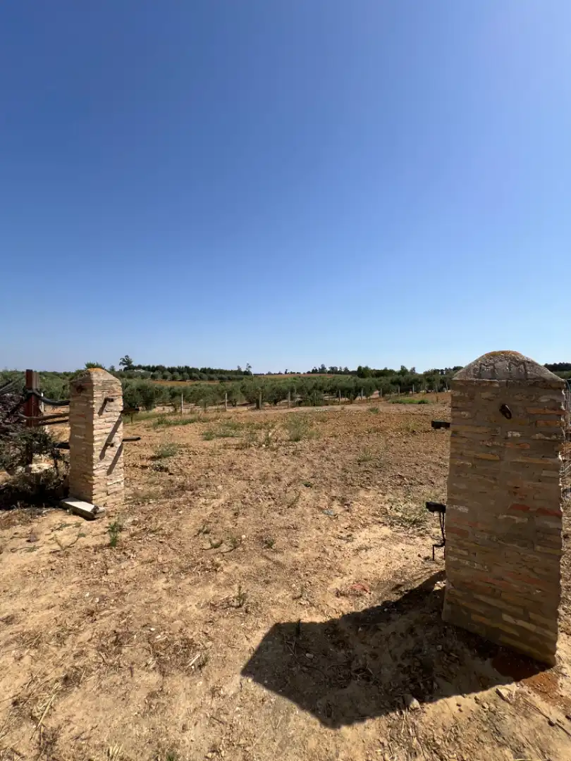Terreni e lotti in vendita a Almonte ciudad, imagen 15