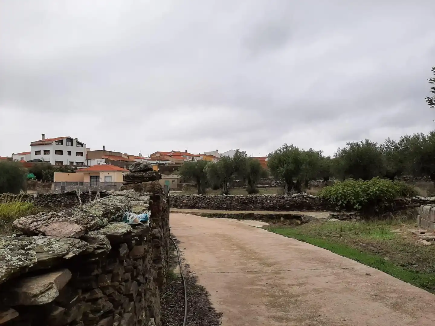 Exterior view of Country homes for sale in Botija
