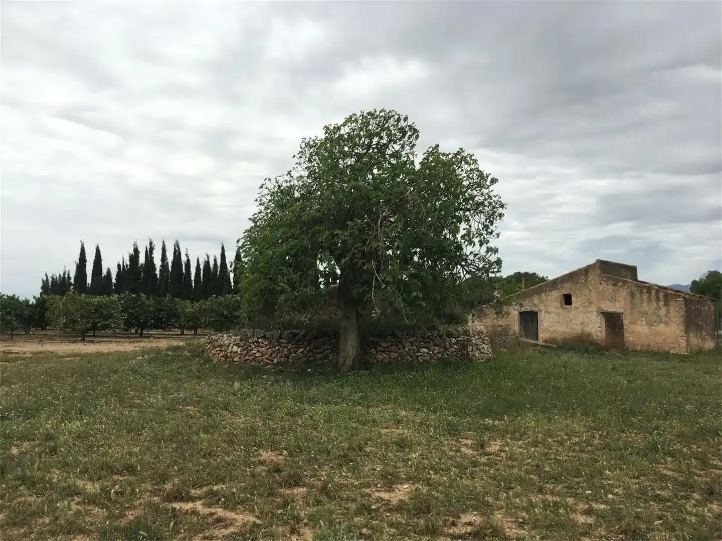 Terreno en venta en Godall