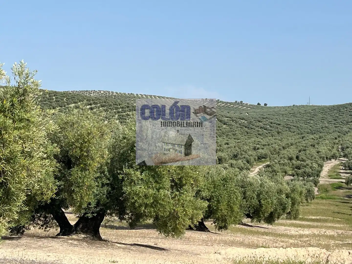 Terreni e lotti in vendita a Martos