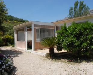 Garten von Haus oder Chalet miete in Alfarnatejo mit Terrasse