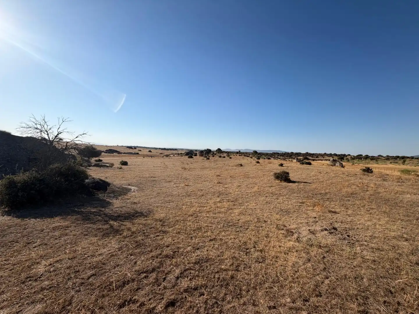 Terreno rustico in vendita a Malpartida de Cáceres, imagen 10
