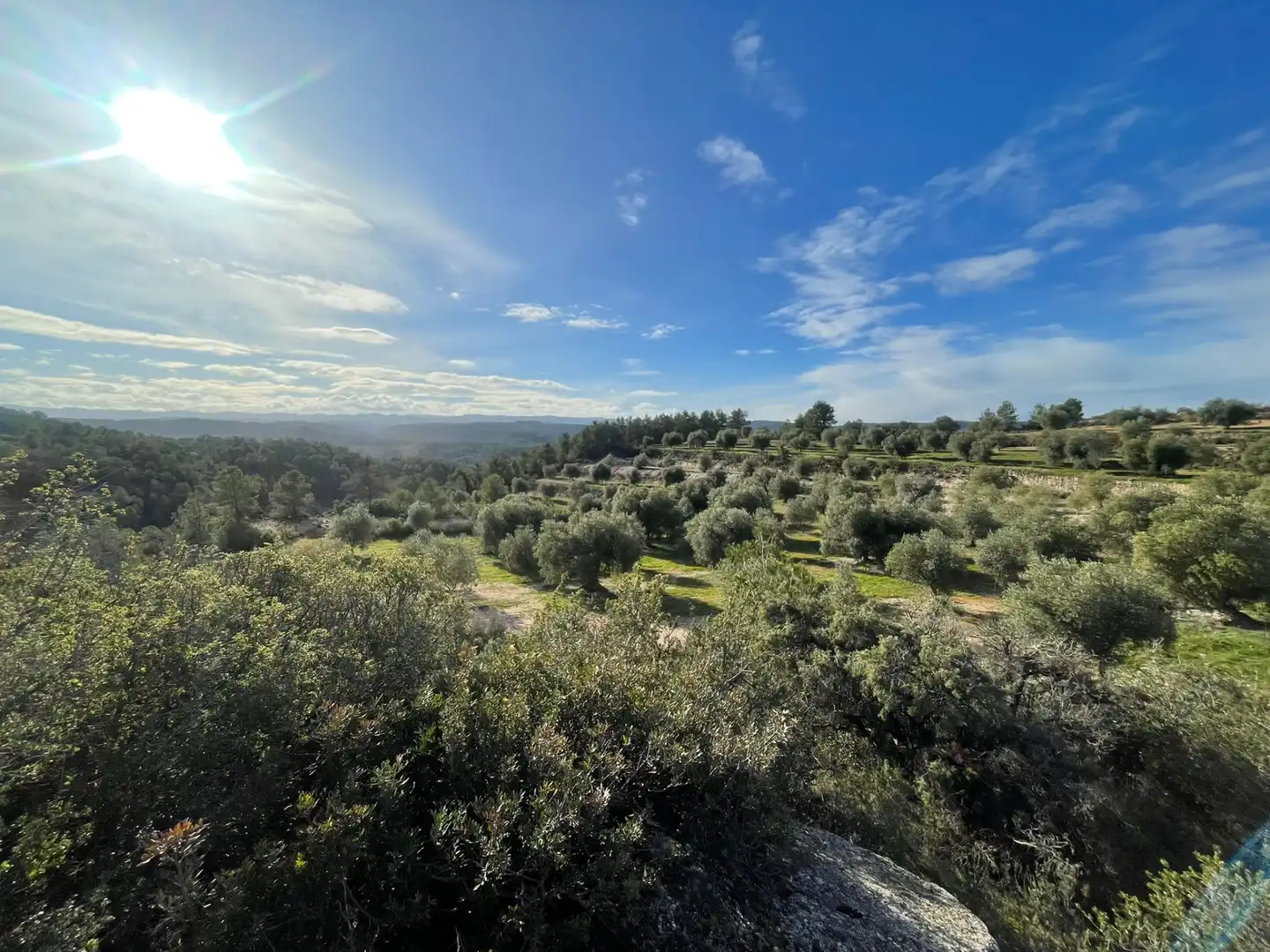 Rural land for sale in Cervià de Les Garrigues, imagen 26