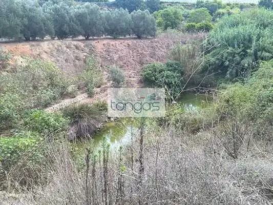 Terreny rústic en venda a Vallés
