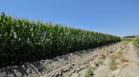 Foto 3 de Finca rústica en venda a Belicena, Granada