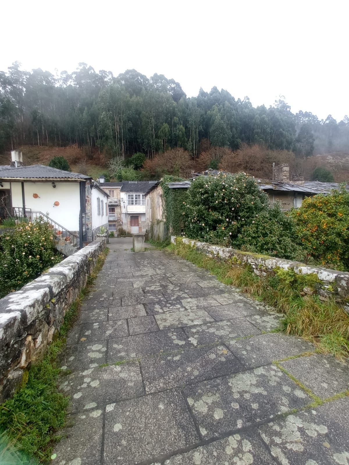 Exterior view of Attic for sale in Viveiro  with Storage room and Furnished