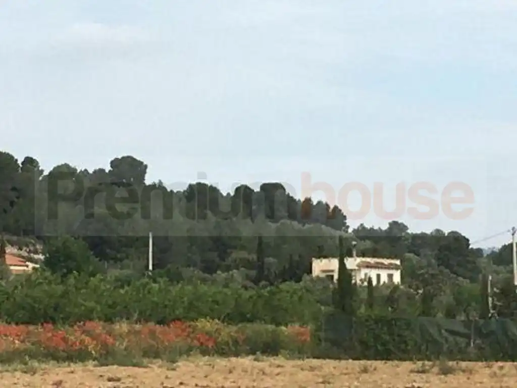 Terreno residenziale in vendita a Móra d'Ebre, imagen 6