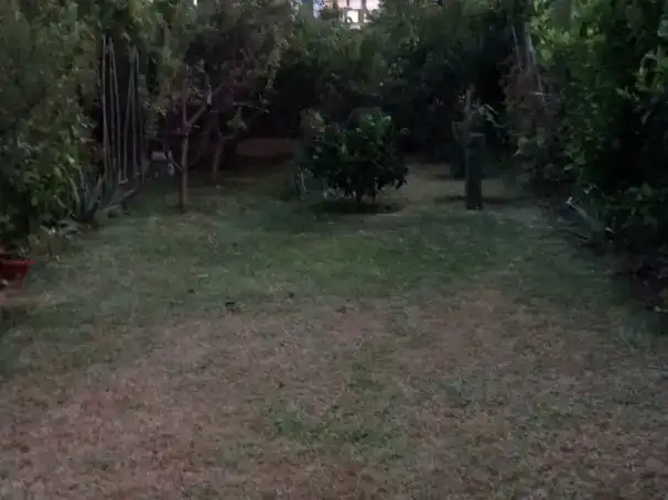Casa o chalet en venta en Marbella con Piscina
