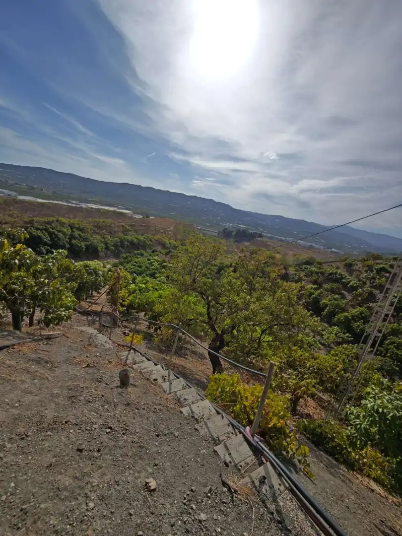 Country homes for sale in N/A, Norte - Barrio del Pilar - El Reñidero