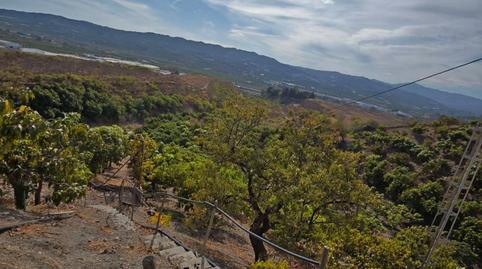 Foto 3 de Finca rústica en venda a N/a, Norte - Barrio del Pilar - El Reñidero, Málaga