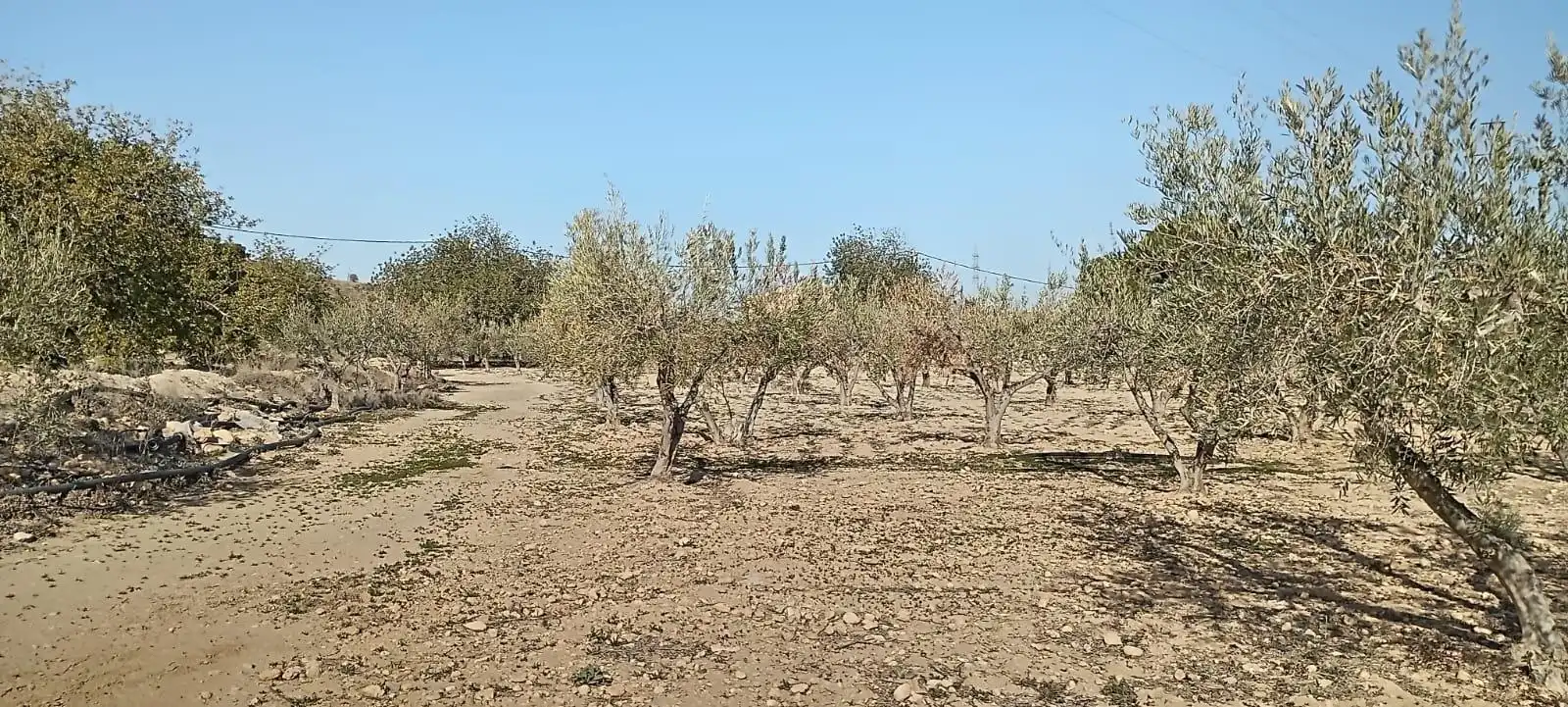 Maison avec jardin à vendre à Mojácar Pueblo, imagen 32