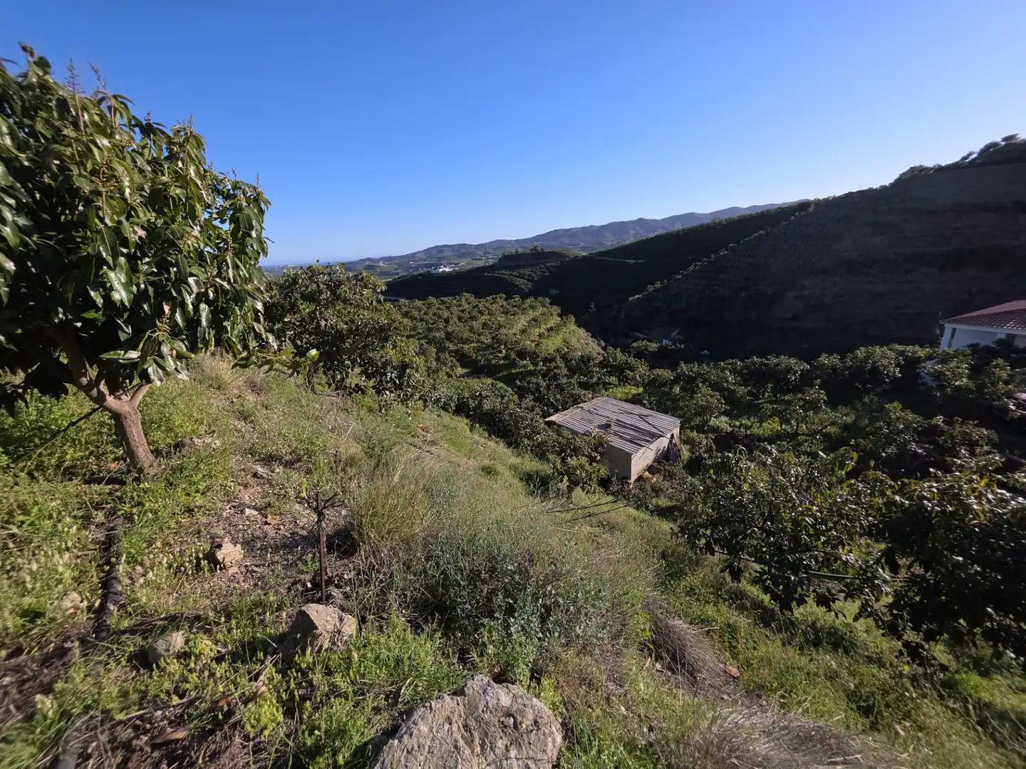Terreny rústic en venda a Diseminado Atalaya Baja, imagen 5