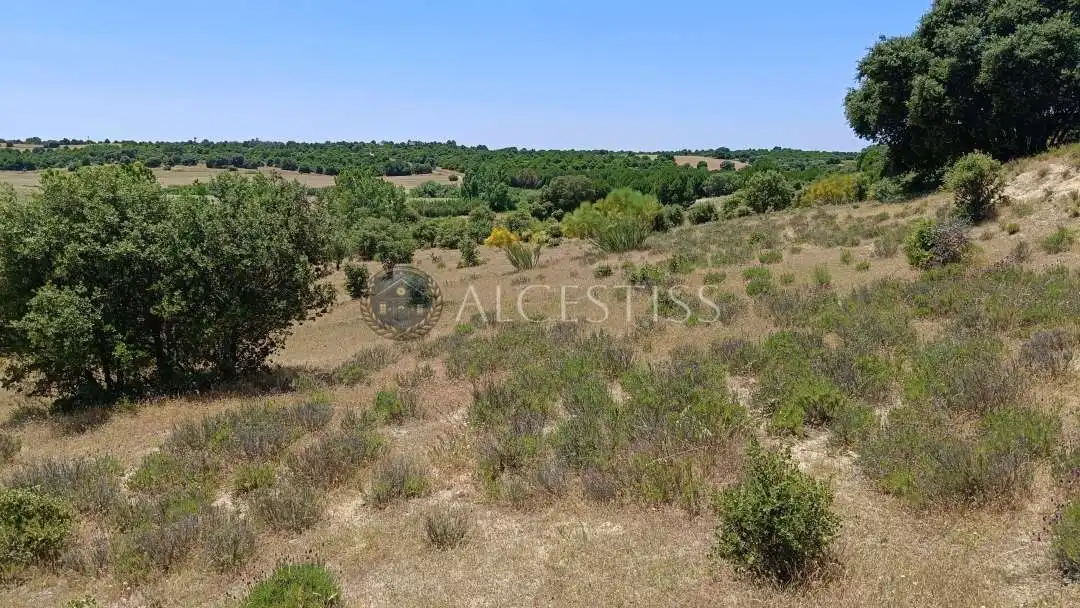 Terreno en venta en La Torre de Esteban Hambrán