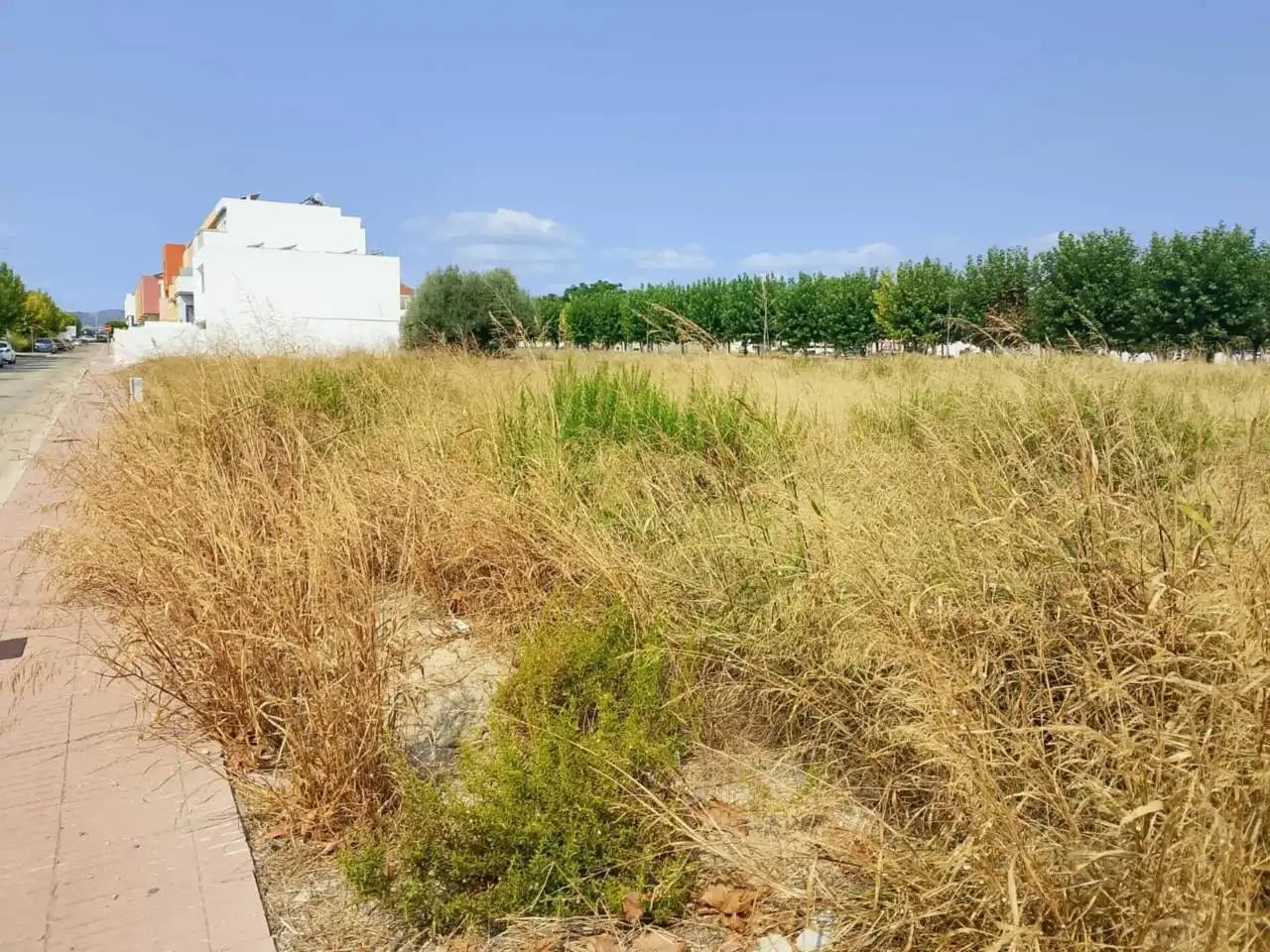 Residential land for sale in Calle Botánico Cabanilles, imagen 4