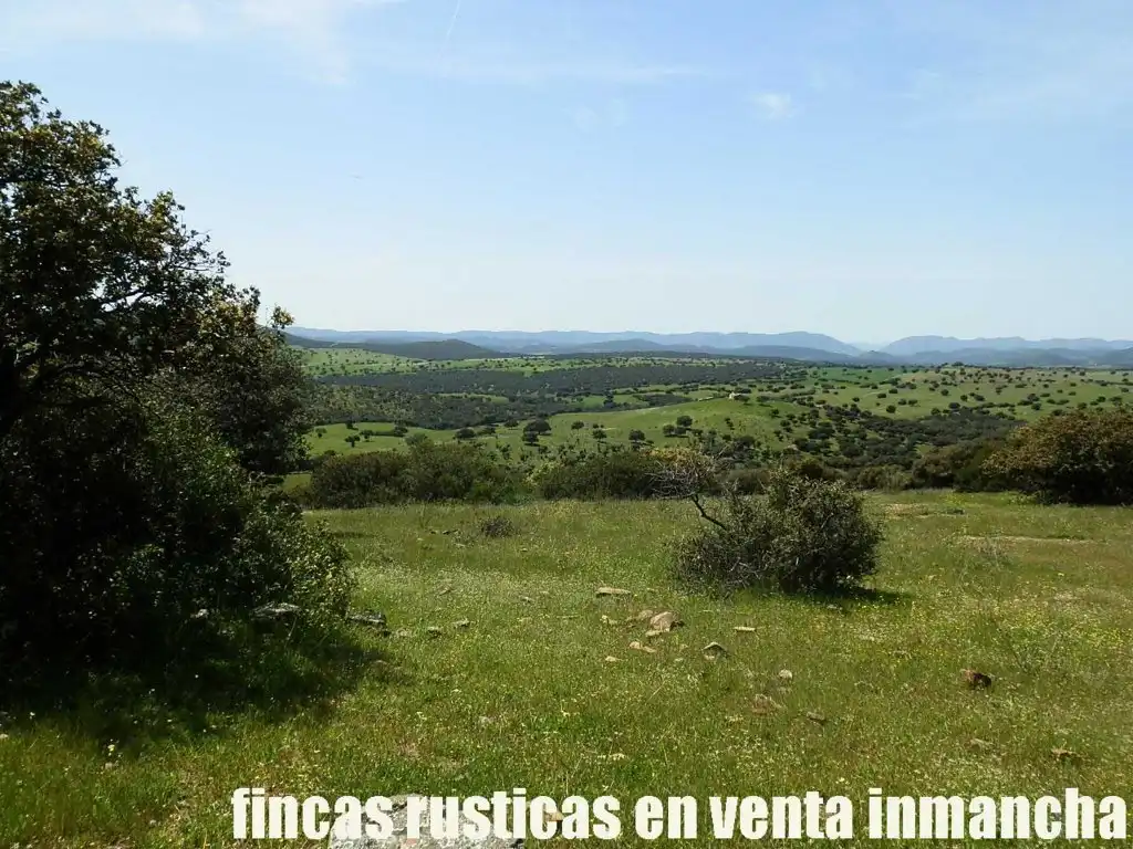 Rural land for sale in Calzada de Calatrava, imagen 25
