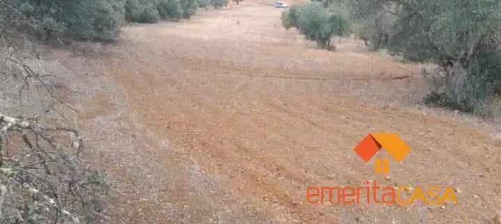 Terreni e lotti in vendita a Don Álvaro, imagen 4