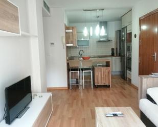 Kitchen of Flat to rent in  Huelva Capital  with Air Conditioner and Furnished