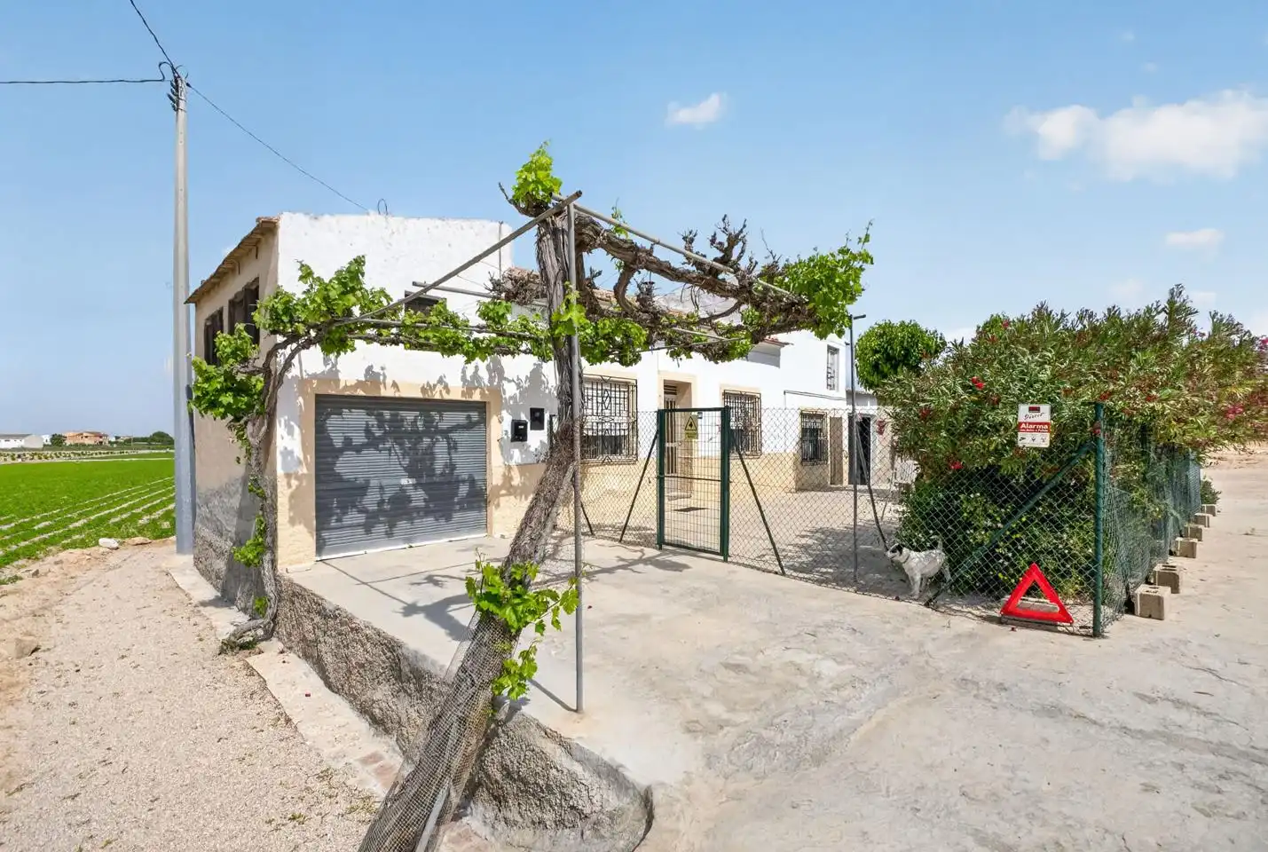 Country house for sale in Desamparados - Hurchillo - Torremendo, imagen 12