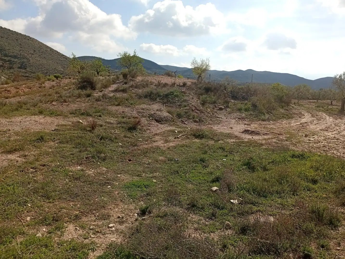 Terreny en venda a Rambla La Higuera, Albox