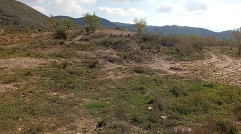Foto 4 de Terreny en venda a Rambla la Higuera, Albox, Almería