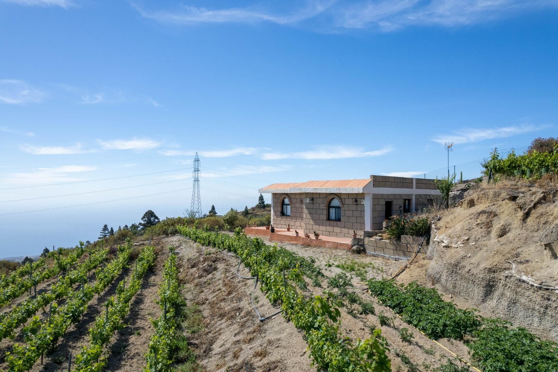 Vista exterior de Finca rústica en venda en Fasnia amb Terrassa i Alarma
