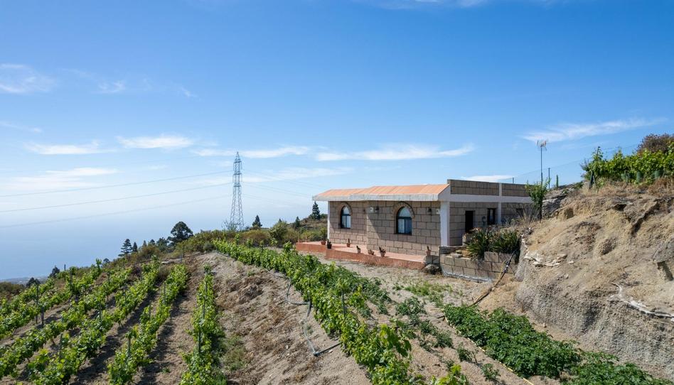 Foto 1 de Finca rústica en venta en Calle Chicato, Fasnia, Santa Cruz de Tenerife