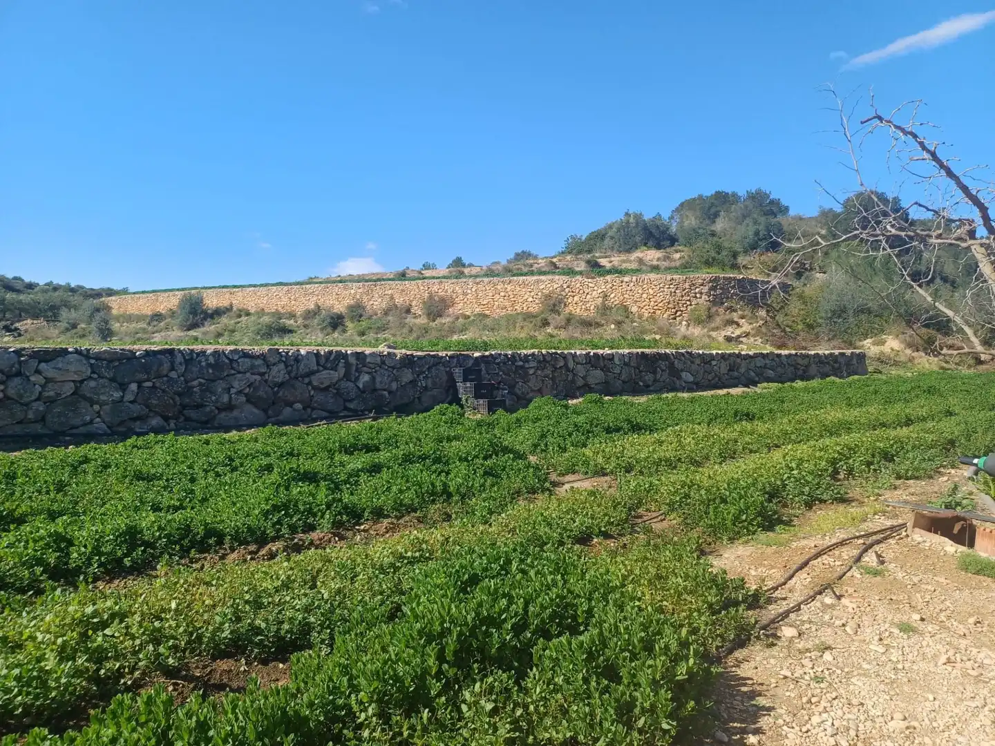 Terreno en venta en Tortosa