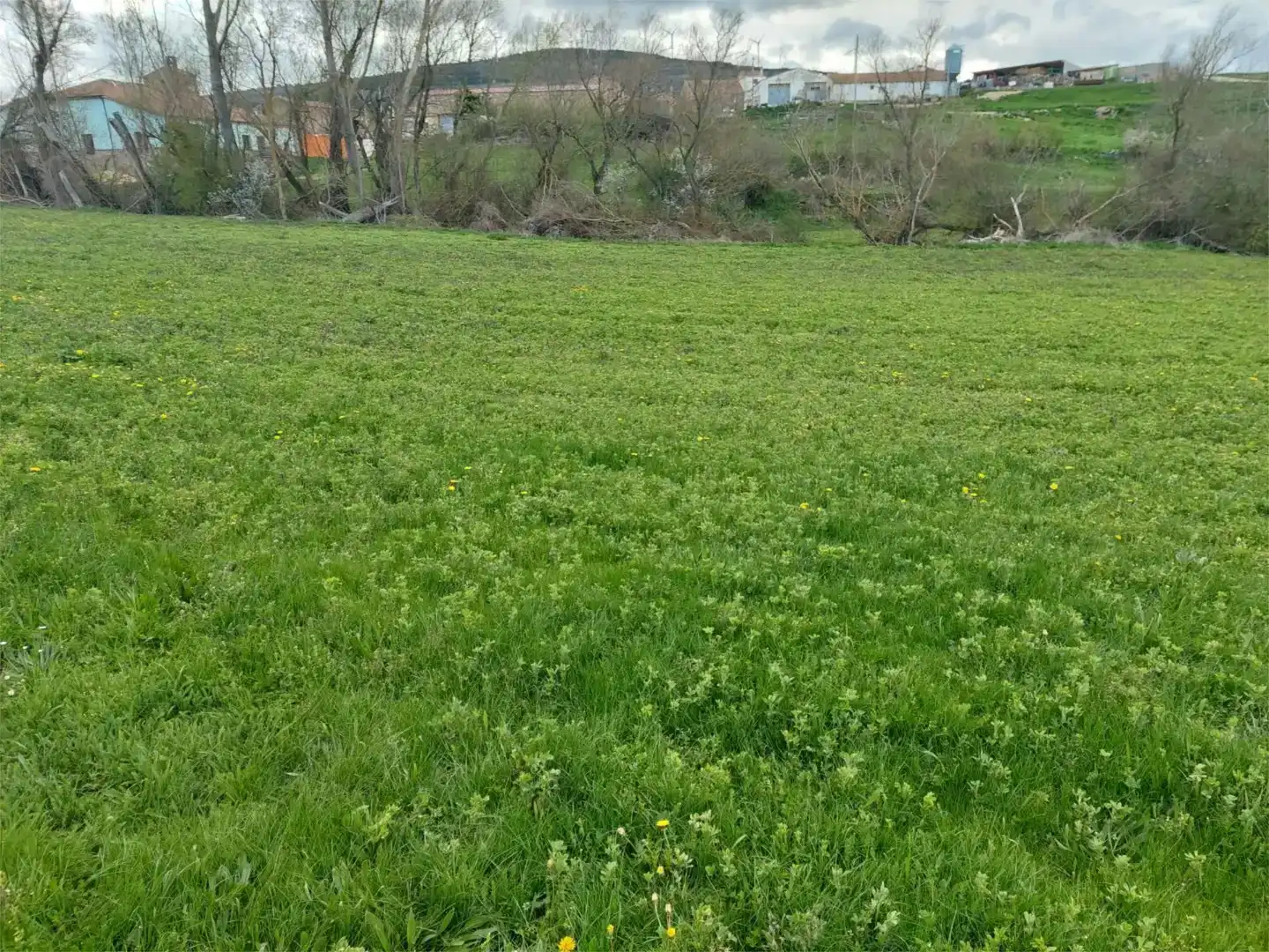 Terreno en venta en Suellacabras
